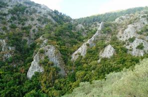 Το πράσινο σκαρφαλώνει στους ασβεστολιθικούς βράχους. 
