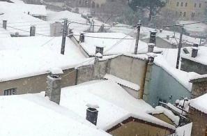 Φωτό Αφροδίτης Καρλαγάνη. 