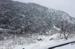 Φωτό Ανθής Δαγέλη.