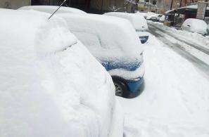 Φωτό Τάσου Τσομπανέλη. 